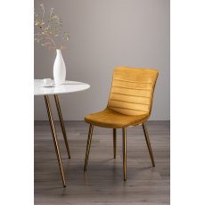 Rothko - Mustard Velvet Fabric Chairs with Matt Gold Plated Legs (Pair)