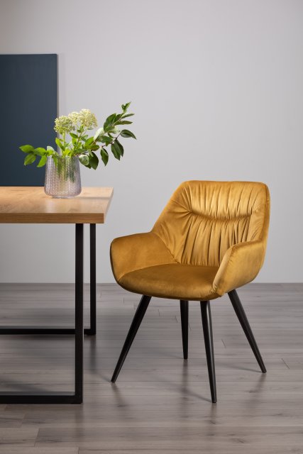 Gallery Collection Dali - Mustard Velvet Fabric Chair with Black Legs (Pair)