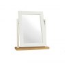 Gallery Collection Atlanta Two Tone Vanity Mirror