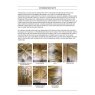 Bentley Designs Logan Fumed Oak Wide Sideboard- note